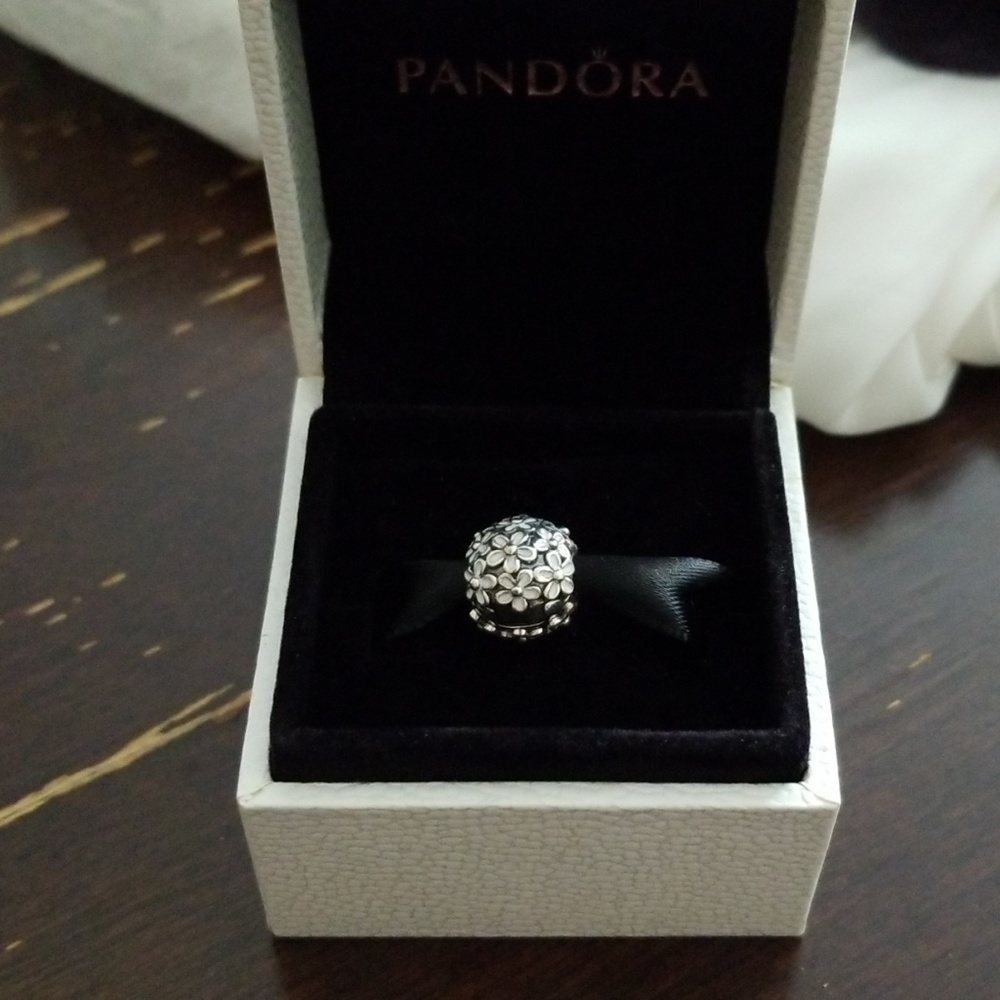 Pandora charm